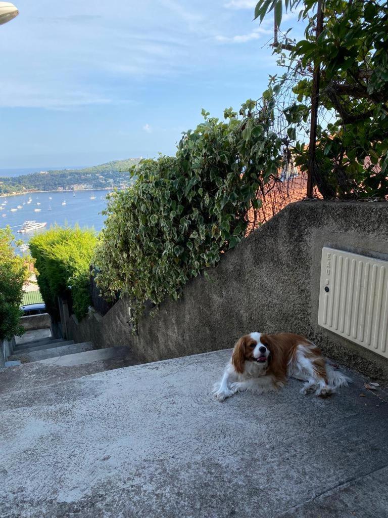 Hotel La Fiancee Du Pirate Villefranche-sur-Mer Kültér fotó