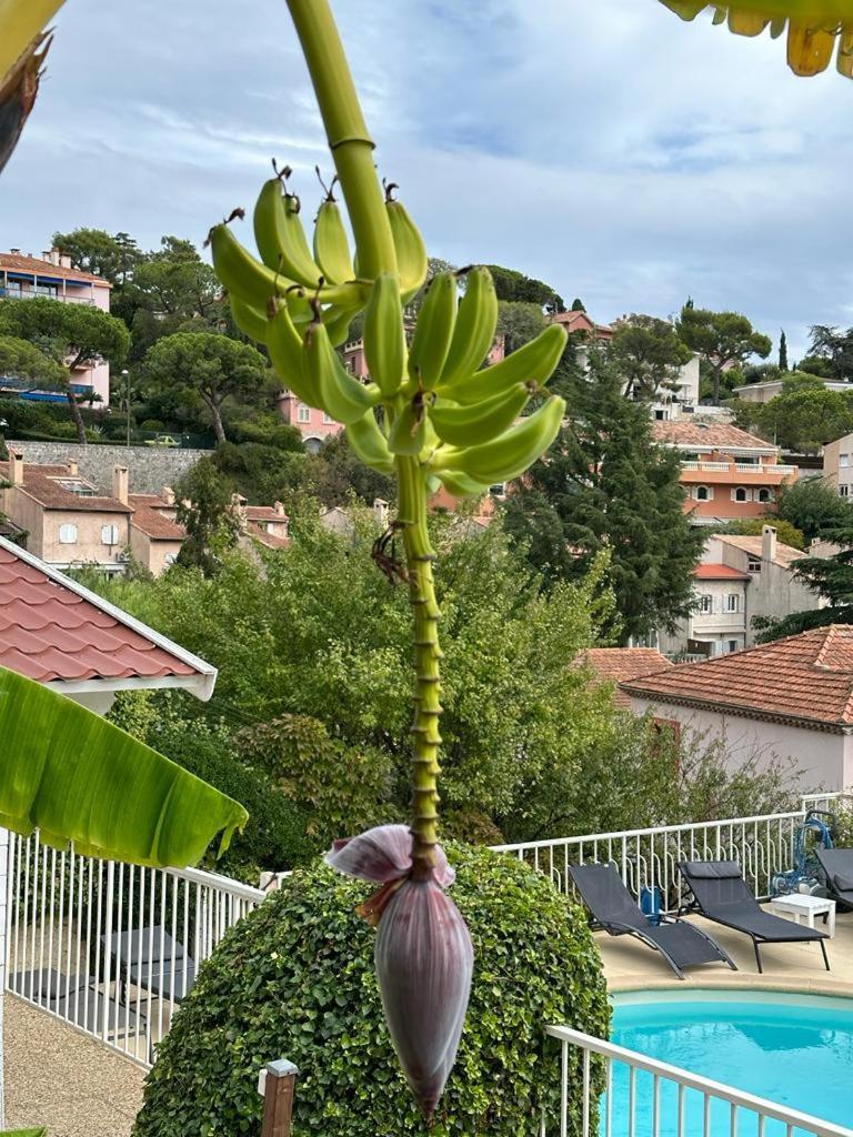 Hotel La Fiancee Du Pirate Villefranche-sur-Mer Kültér fotó